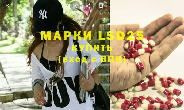 a pvp Щёлкино